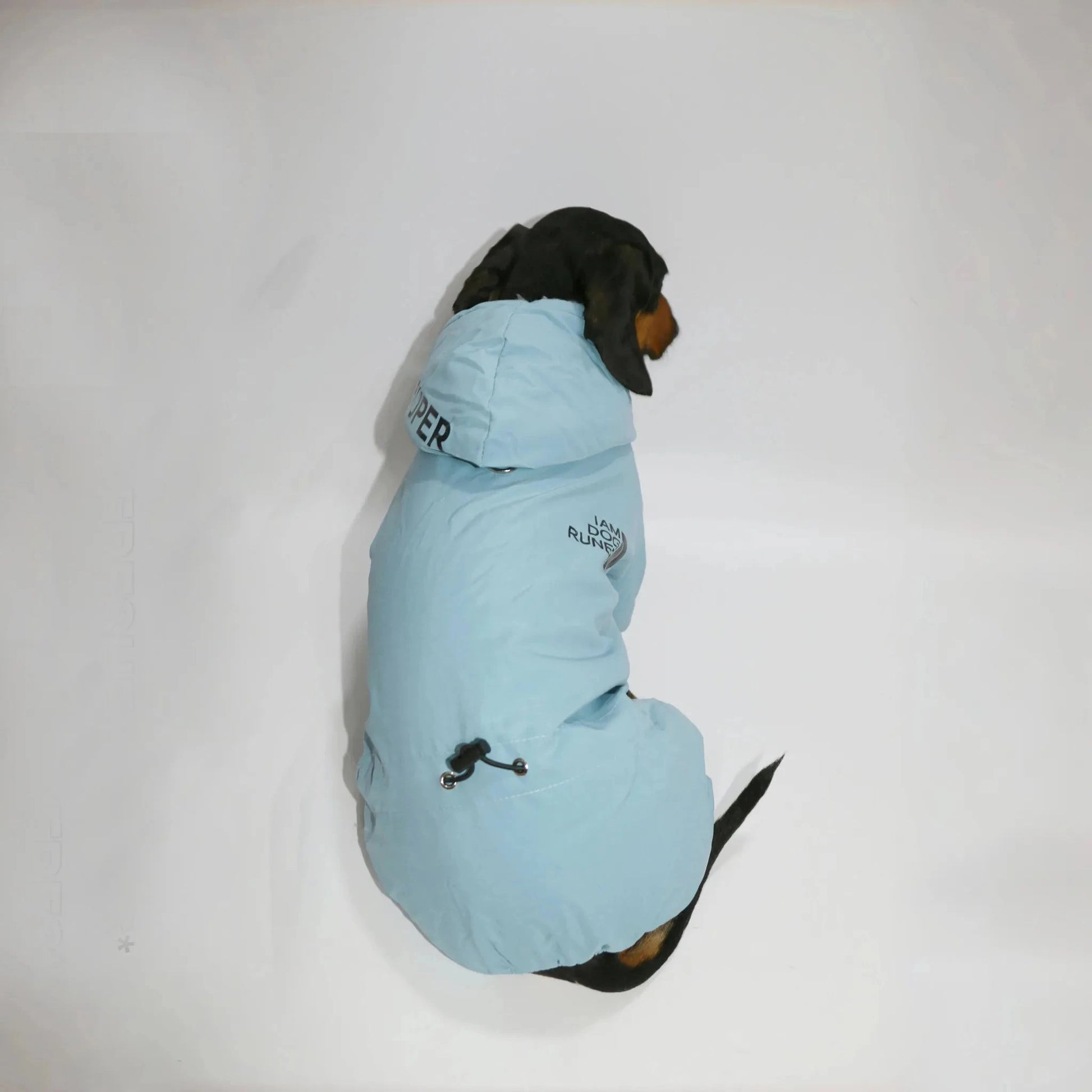 Dachshund Winter Overall The Doxie World