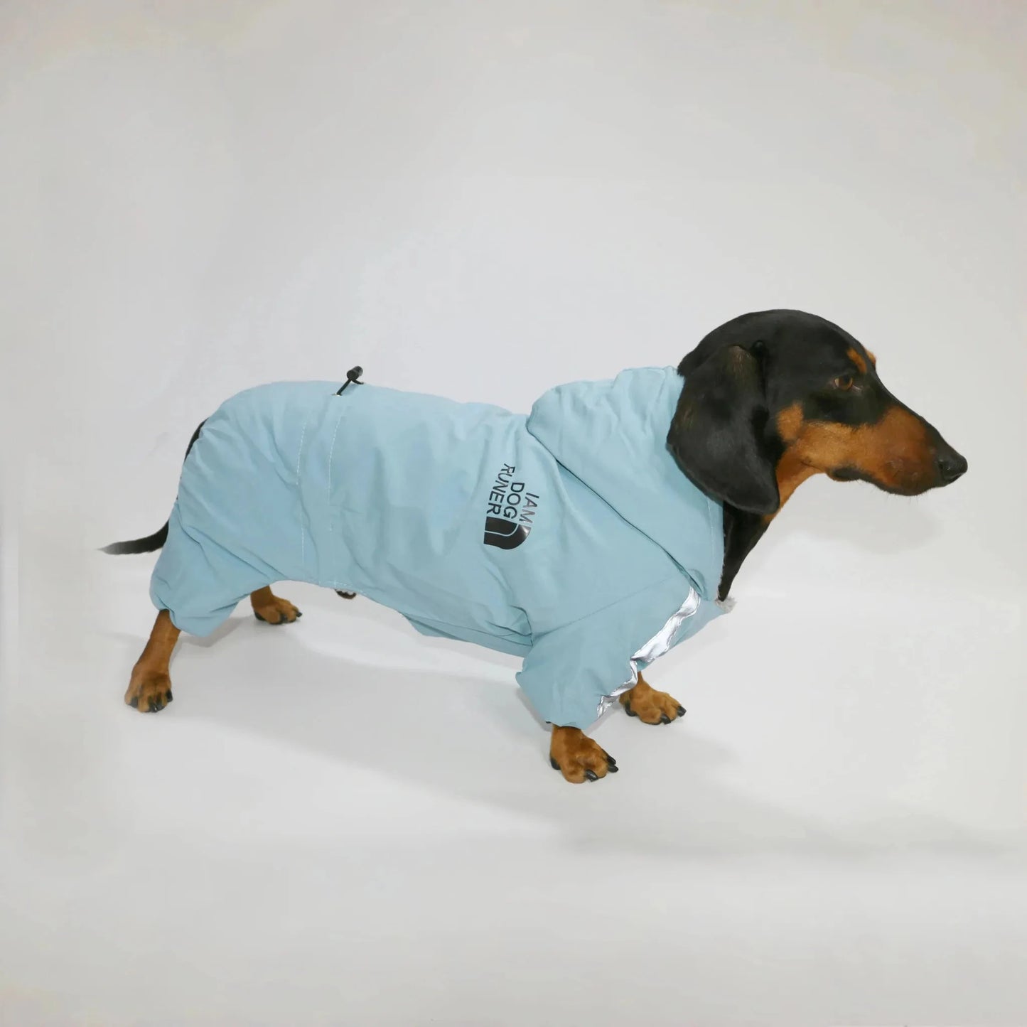Dachshund Winter Overall Blue / S The Doxie World