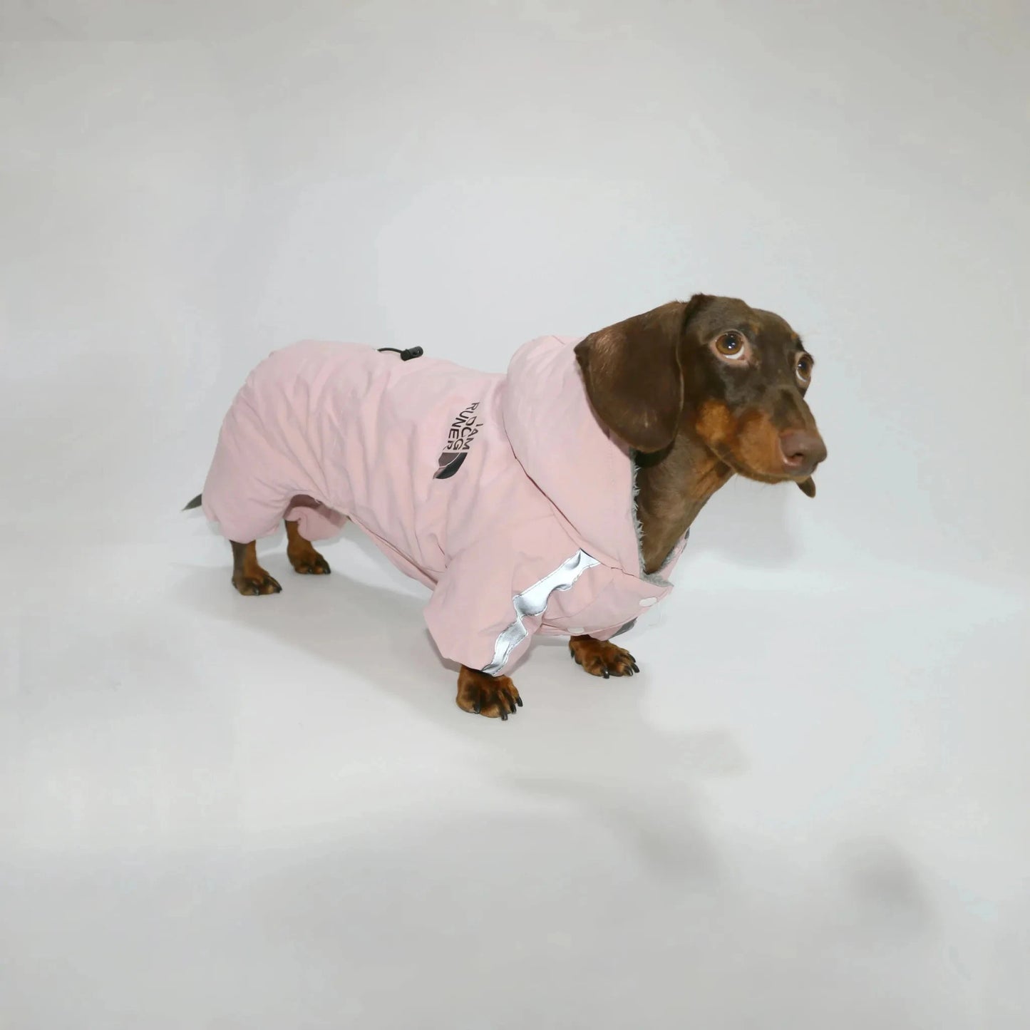 Dachshund Winter Overall Pink / S The Doxie World