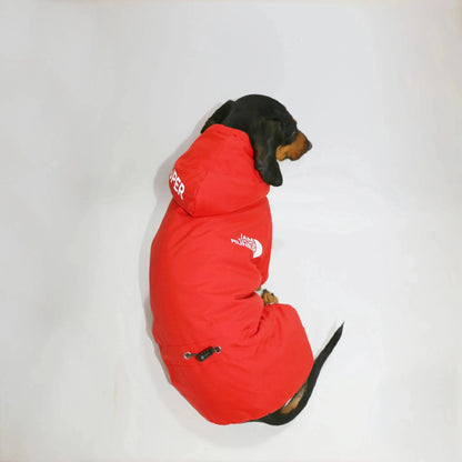 Dachshund Winter Overall The Doxie World