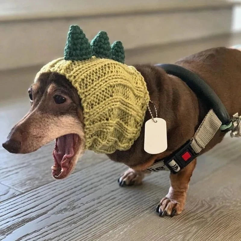 Dino Halloween Wiener Hat The Doxie World