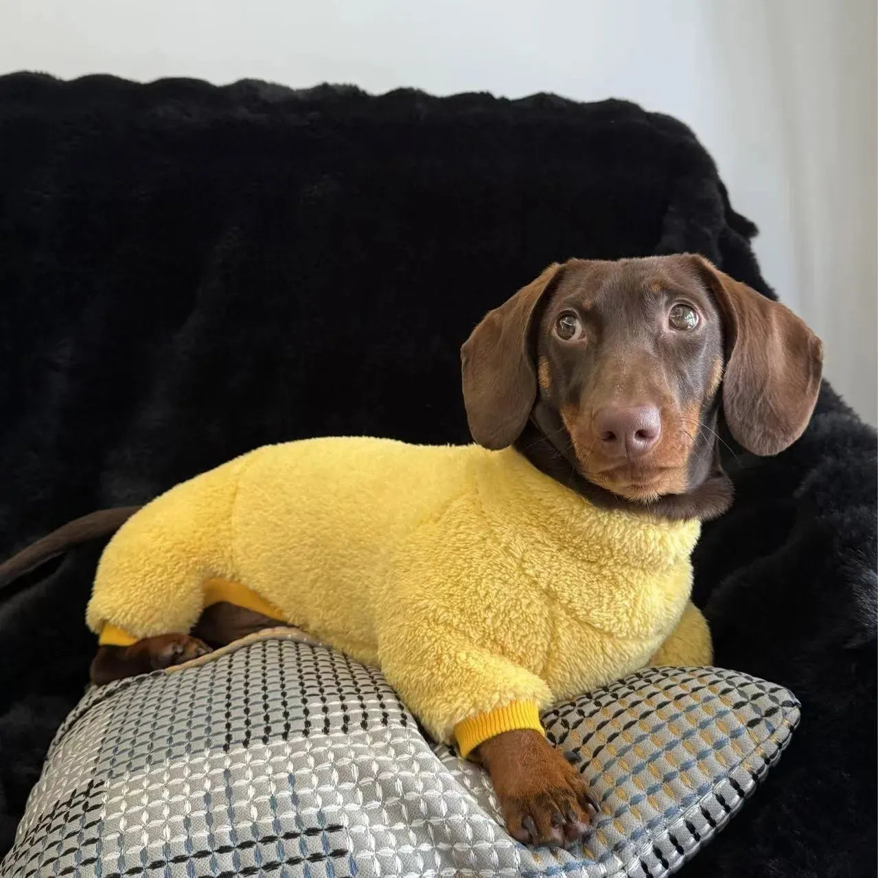 Dachshund Fleece Onesie