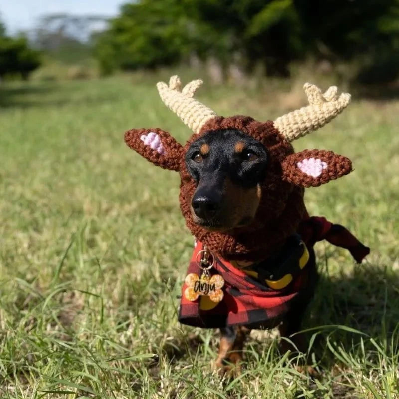Elk Dachshund Holiday Hat The Doxie World