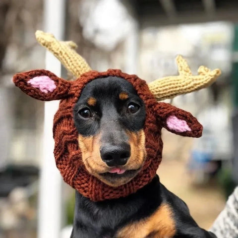 Elk Dachshund Holiday Hat The Doxie World
