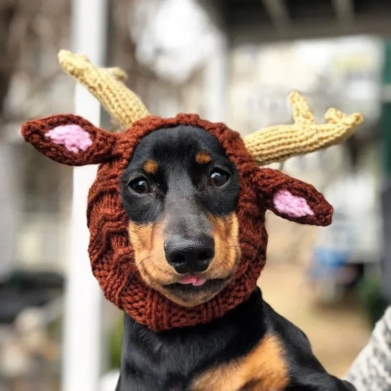 Elk Dachshund Holiday Hat The Doxie World