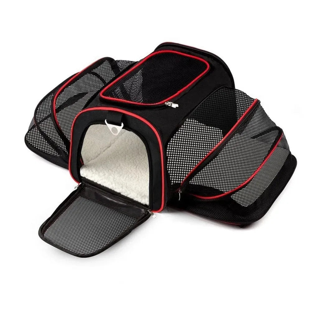 Expandable Dachshund Carrier The Doxie World