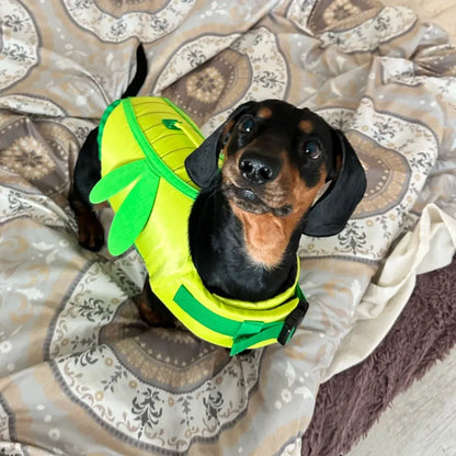Dachshund Dragonfly Life Jacket