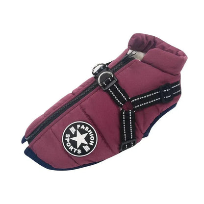 Fashion Stars Dachshund Jacket Purple / S The Doxie World