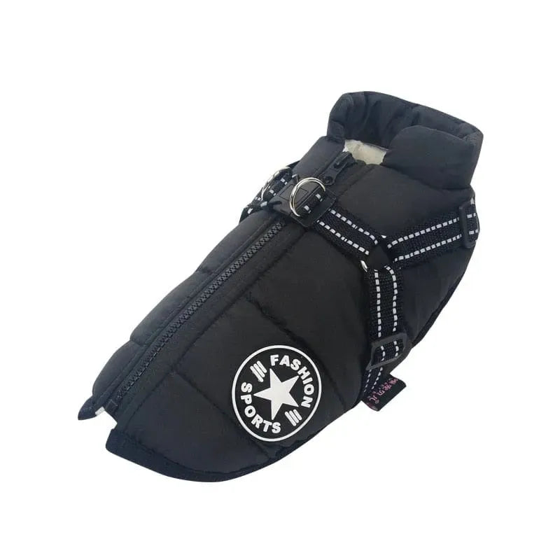 Fashion Stars Dachshund Jacket Black / S The Doxie World