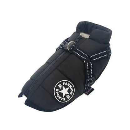 Fashion Stars Dachshund Jacket Black / S The Doxie World