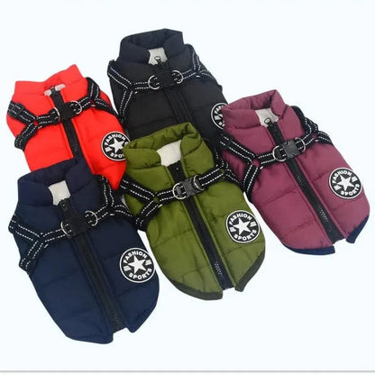 Fashion Stars Dachshund Jacket The Doxie World