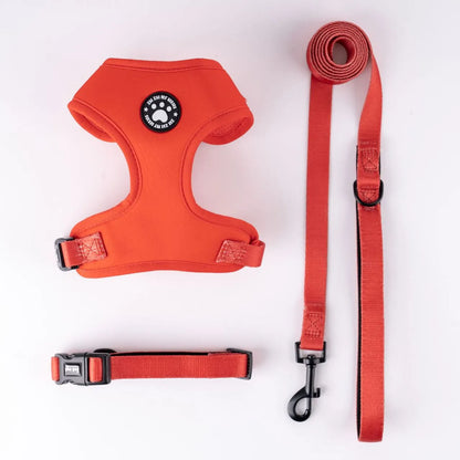 Dachshund Harness Set