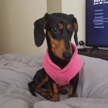 Fleece Dachshund Jacket Pink / S The Doxie World