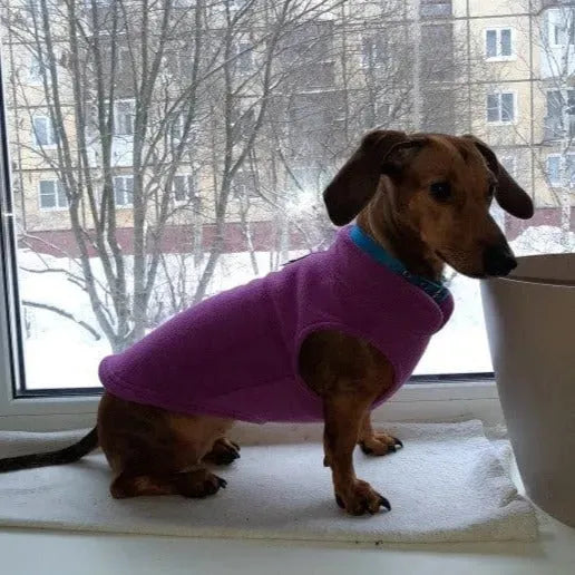Fleece Dachshund Jacket The Doxie World