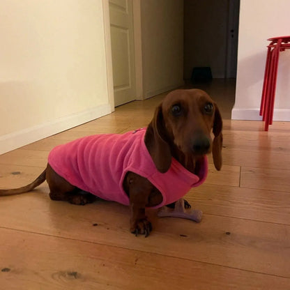 Fleece Dachshund Jacket The Doxie World