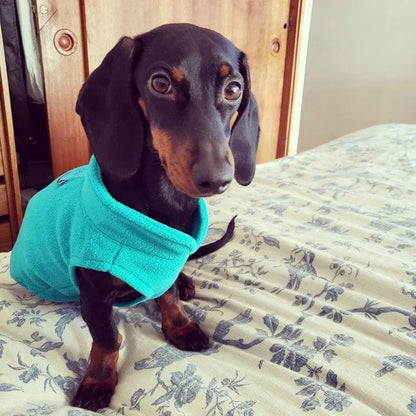 Fleece Dachshund Jacket Turquoise / S The Doxie World