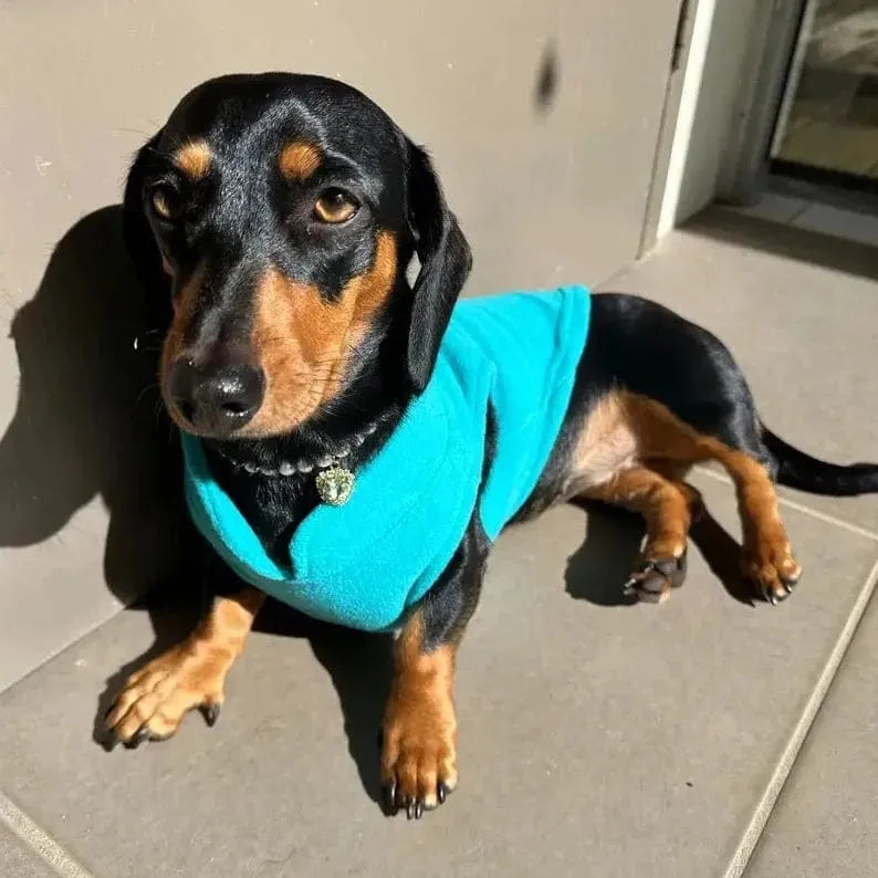 Fleece Dachshund Jacket The Doxie World