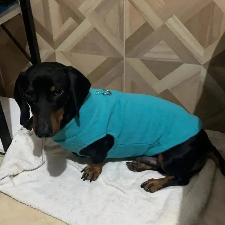 Fleece Dachshund Jacket The Doxie World
