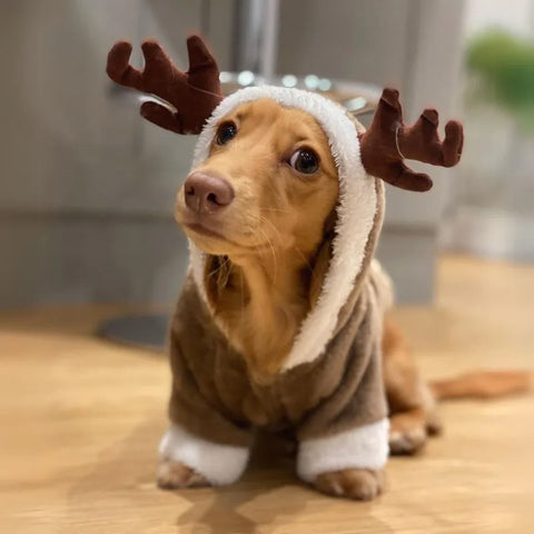 Fleece Reindeer Dachshund  Onesie The Doxie World