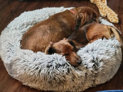Fluffy Dachshund Bed The Doxie World