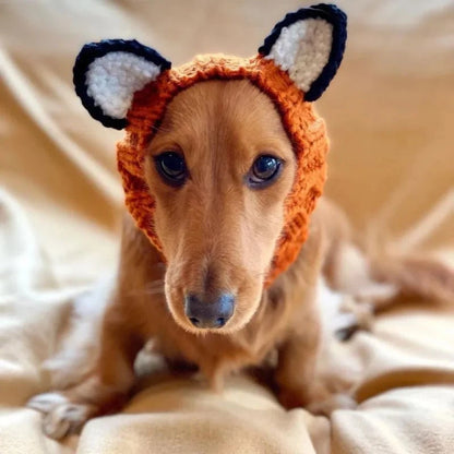 Fox Dachshund Halloween Hat The Doxie World