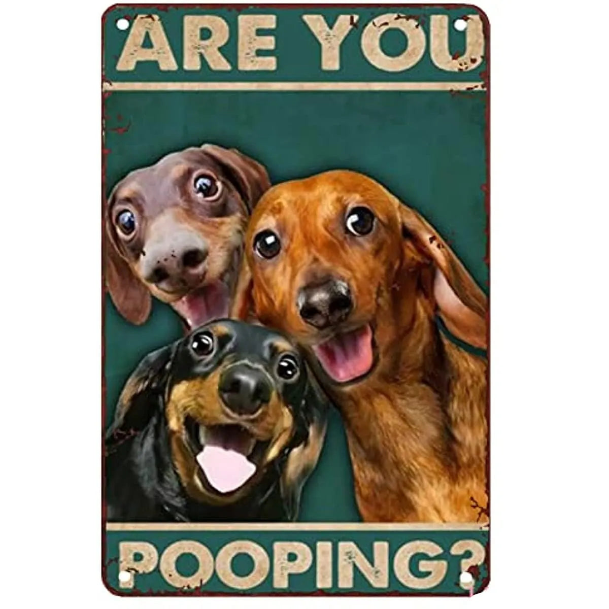 Funny Dachshund Bathroom Sign White / 40x30cm The Doxie World
