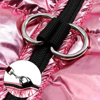 Glossy Waterproof Dachshund Jacket The Doxie World