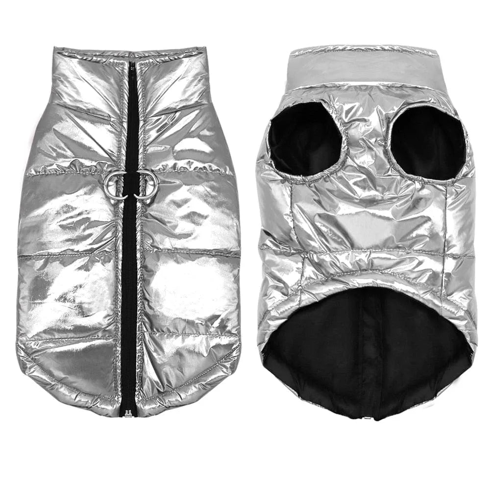 Glossy Waterproof Dachshund Jacket The Doxie World