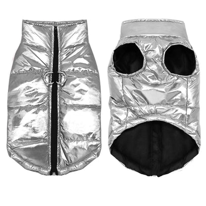 Glossy Waterproof Dachshund Jacket The Doxie World