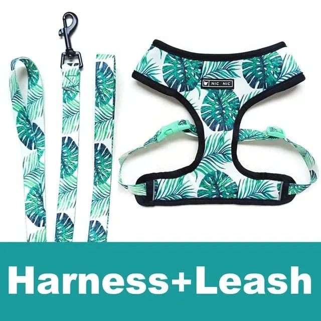 Graphic Dachshund Harness and Leash Set Green harness+leash / S The Doxie World