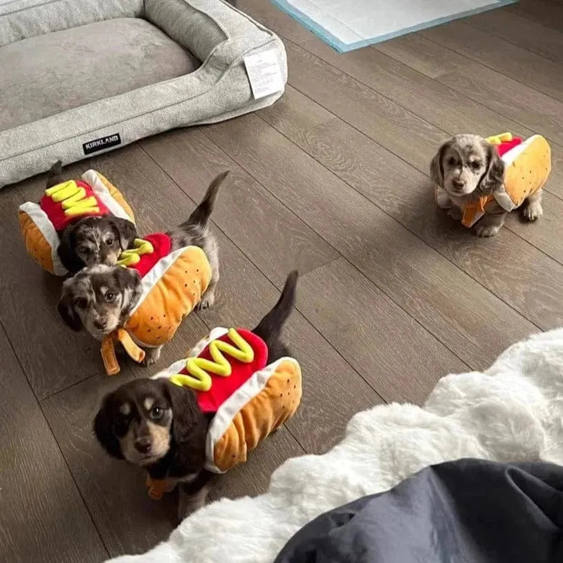 Hot Dog Dachshund Costume The Doxie World