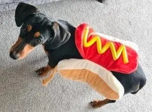 Hot Dog Dachshund Costume The Doxie World