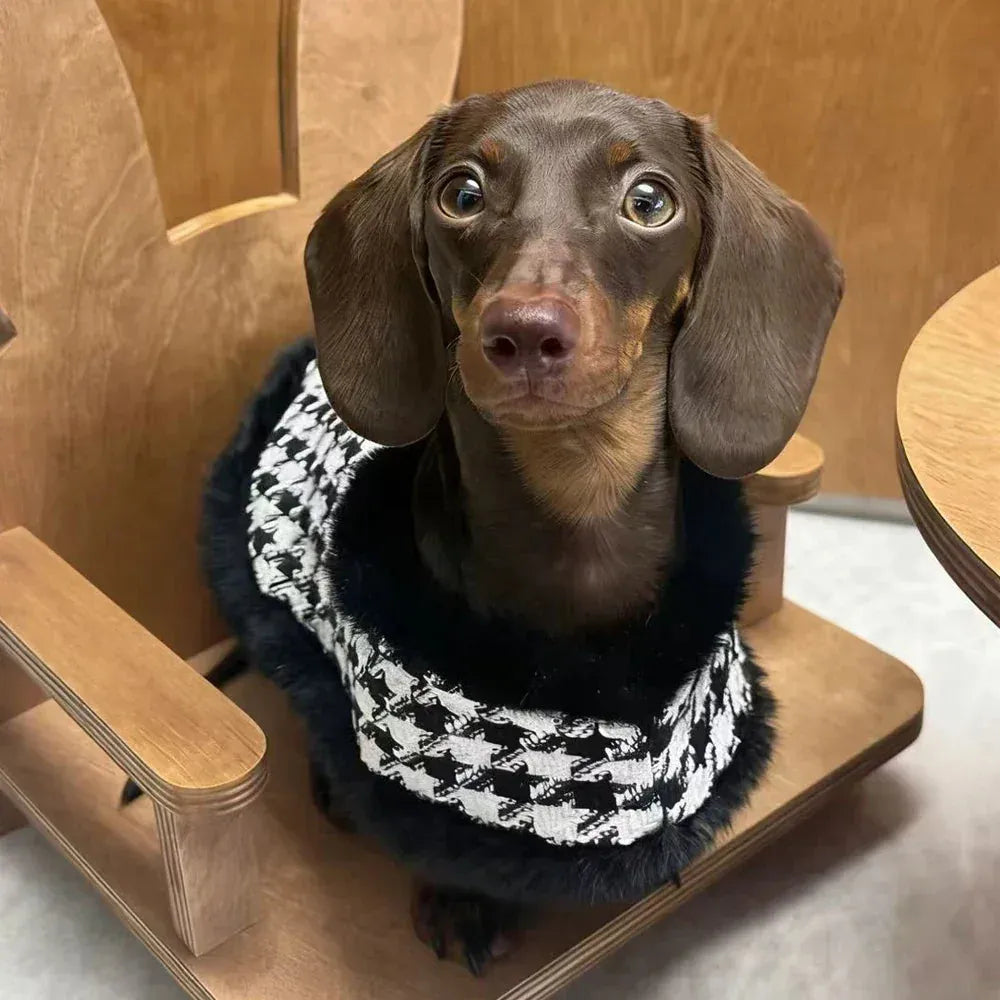 Houndstooth Dachshund Coat Set The Doxie World