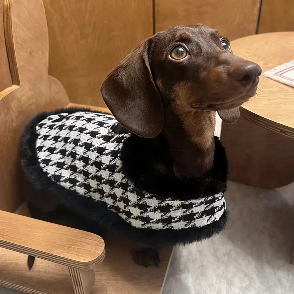 Houndstooth Dachshund Coat Set The Doxie World