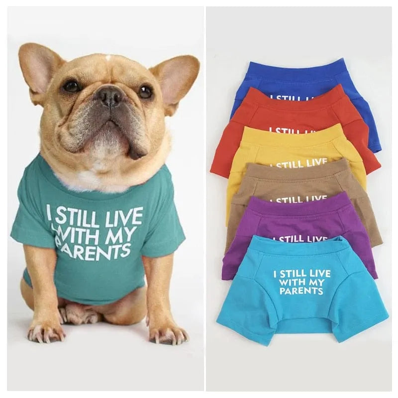 ''I Still live With My Parents'' - Printed Dog T-Shirt The Doxie World