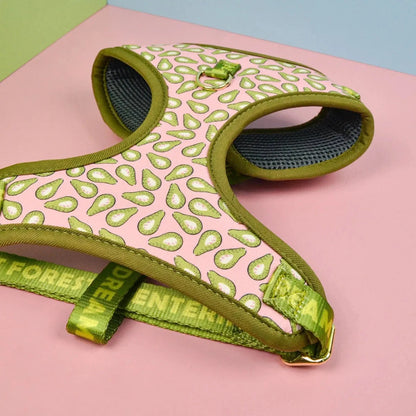 Ice Cream Sausage Dog Harness The Doxie World