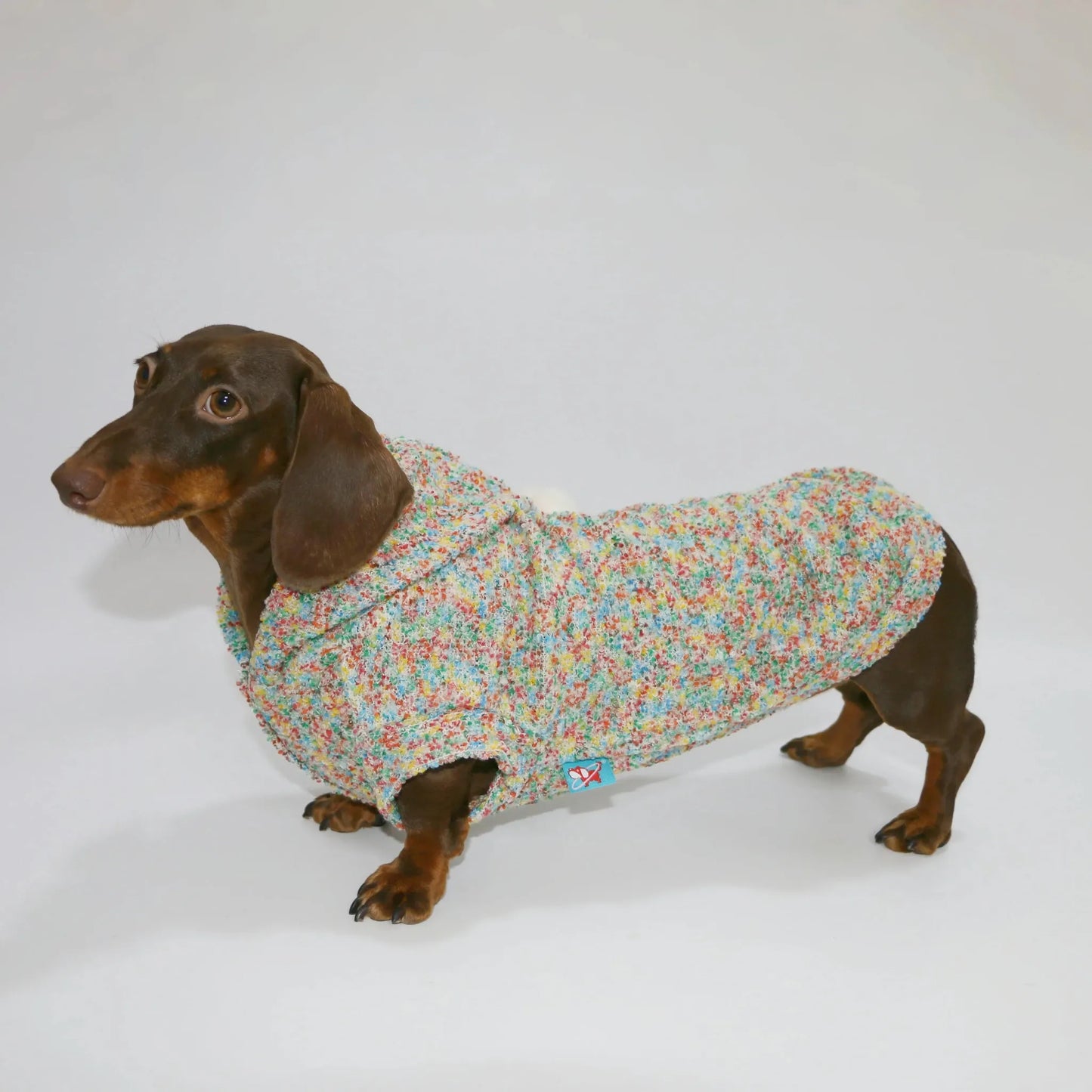 Knitted Dachshund Hoodie The Doxie World