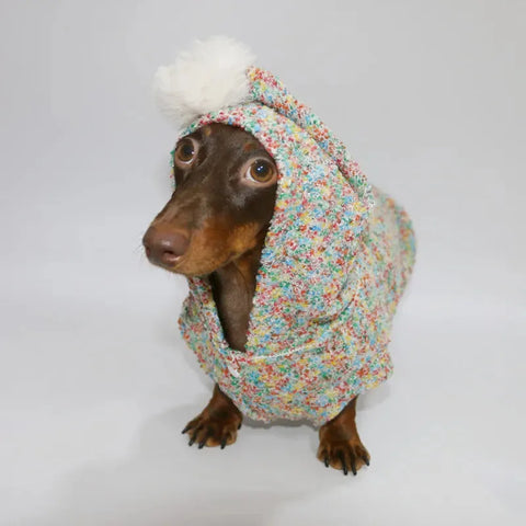Knitted Dachshund Hoodie XS The Doxie World
