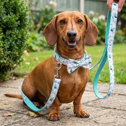 Leaf Print Bowtie Dog Collar and Leash Set The Doxie World
