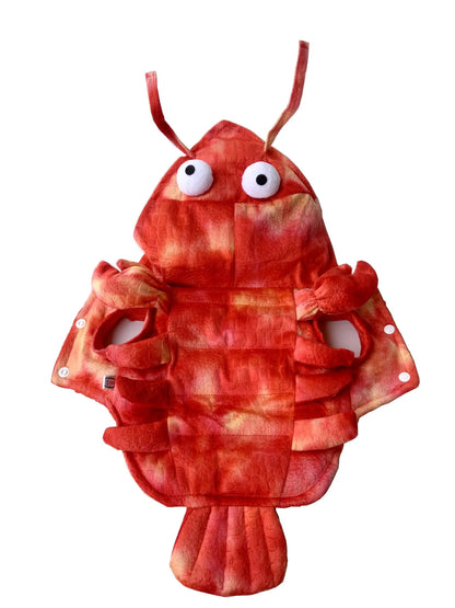 Lobster Dachshund Costume The Doxie World
