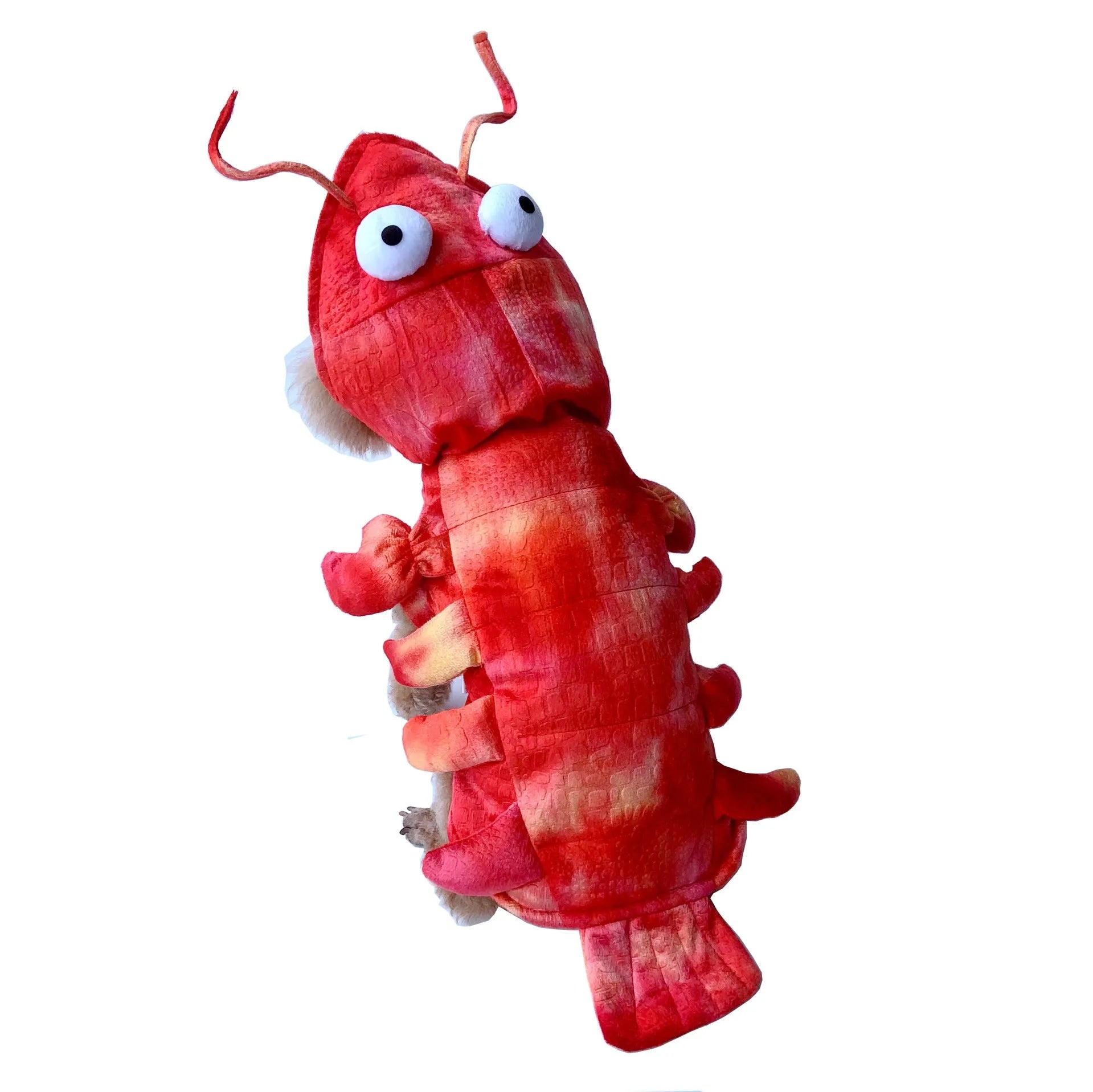 Lobster Dachshund Costume The Doxie World