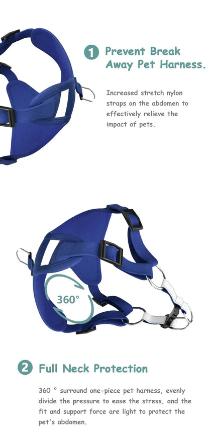 Molly Dachshund Harness and Leash Set The Doxie World