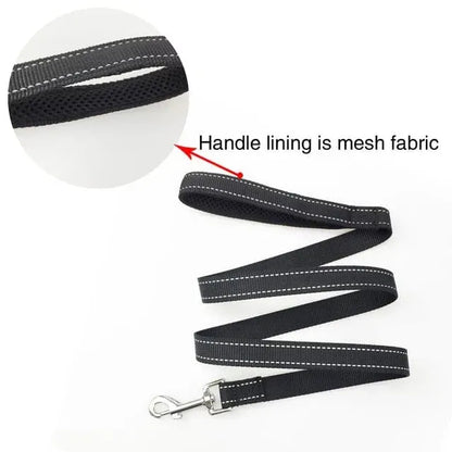 No-Pull Reflective Dog Harness Black  Leash / XS The Doxie World
