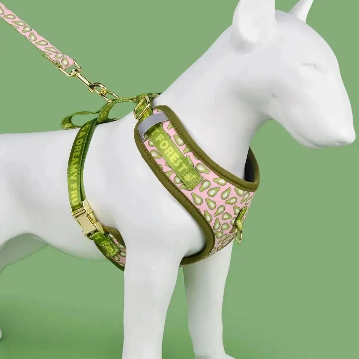 Peppers Sausage Dog Harness and Leash The Doxie World