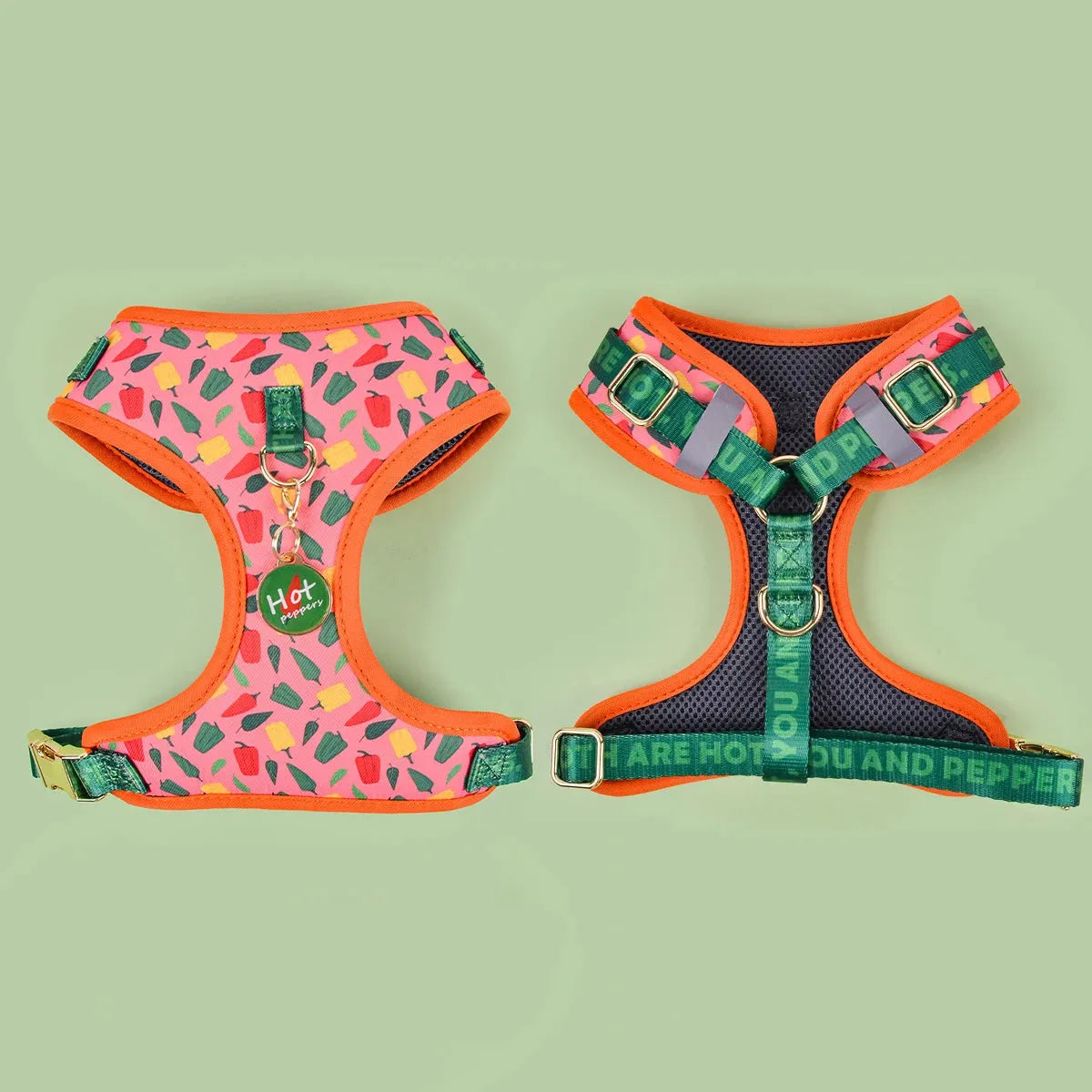 Peppers Sausage Dog Harness and Leash The Doxie World