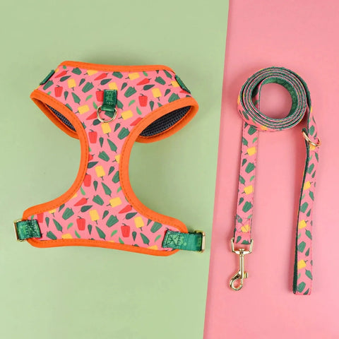 Peppers Sausage Dog Harness and Leash Pepers / S The Doxie World