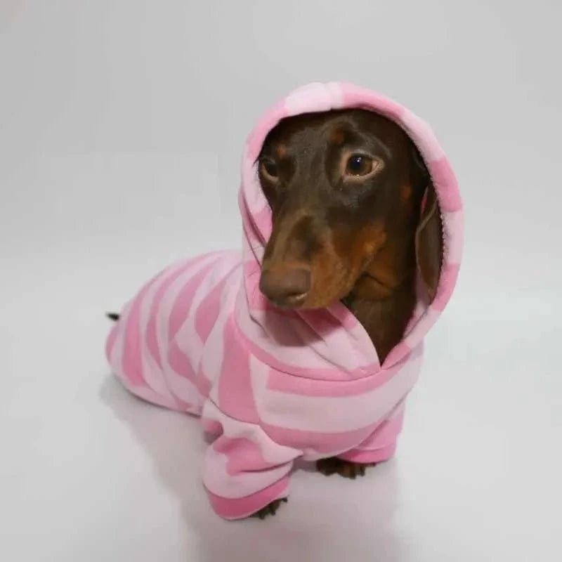 Pink Dachshund Hoodie The Doxie World