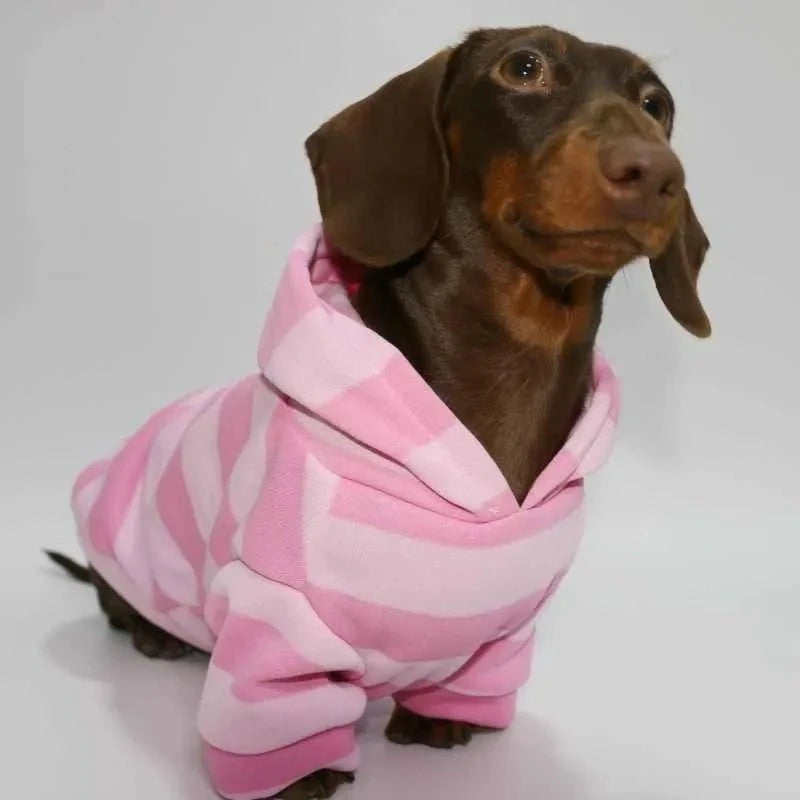 Pink Dachshund Hoodie Pink / XS The Doxie World