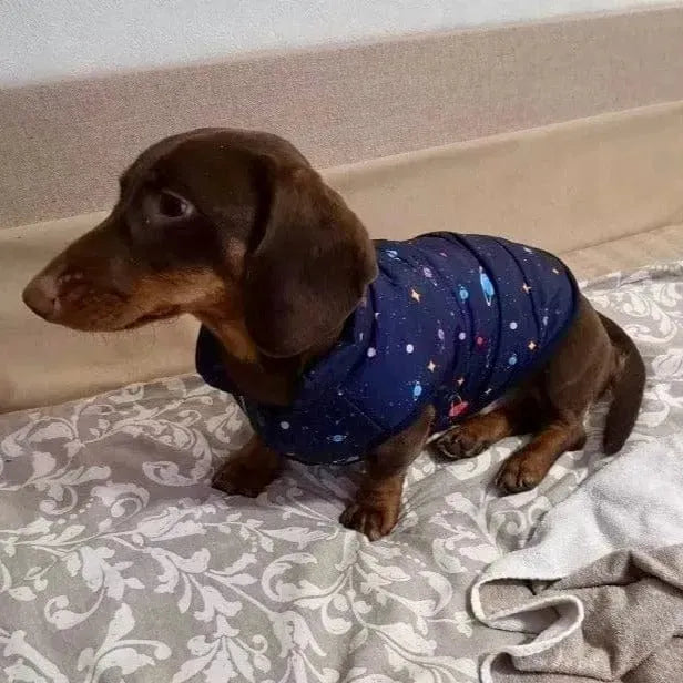 Planet Print Puffer Dachshund Jacket Dark blue / S The Doxie World
