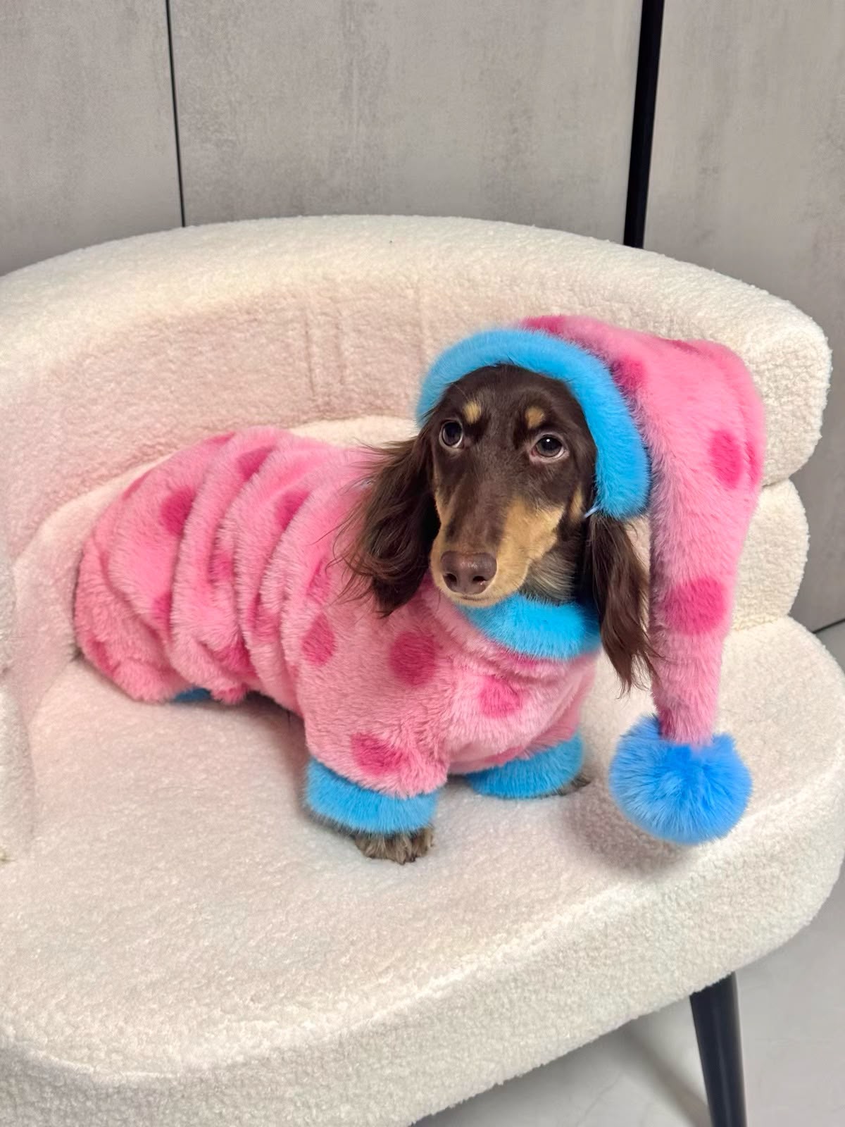 Plush Dachshund Onesie with Hood The Doxie World